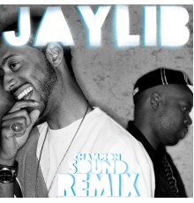 Jaylib - Champion Sound: The Remix