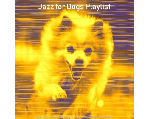Jazz for Dogs Playlist - Brilliant Trumpet Smooth Jazz - Background for Sweet Dogs
