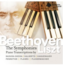 Jean-Louis Haguenauer, Georges Pludermacher, Alain Planès, Paul Badura-Skoda, Michel Dalberto, Jean-Claude Pennetier - Beethoven: Complete Symphonies transcribed for the piano by Franz Liszt
