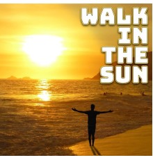 Jeff Jefferson & the Jeffersonics - Walk in the Sun