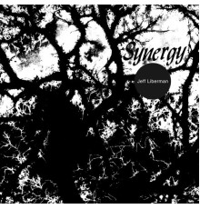 Jeff Liberman - Synergy