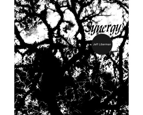 Jeff Liberman - Synergy