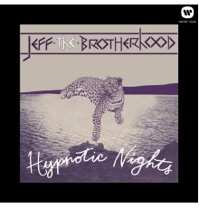 Jeff The Brotherhood - Hypnotic Nights