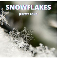 Jeremy Tong - Snowflakes