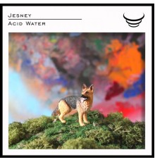 Jesney - Acid Water