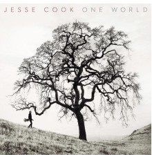 Jesse Cook - One World