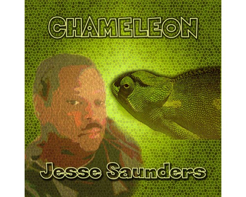 Jesse Saunders - Chameleon