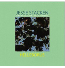 Jesse Stacken - Helleborus