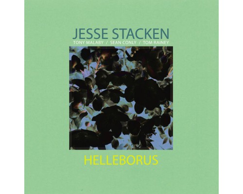 Jesse Stacken - Helleborus