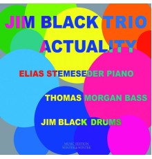 Jim Black Trio - Actuality