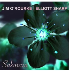 Jim O'rourke & Elliott Sharp - Sakuraza