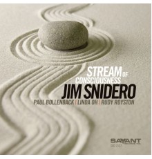 Jim Snidero - Stream of Consciousness