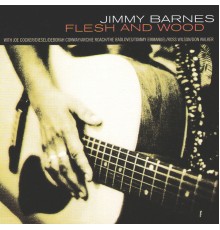 Jimmy Barnes - Flesh And Wood