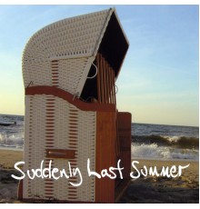 Jimmy Somerville - Suddenly Last Summer