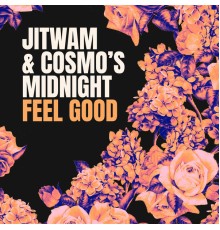 Jitwam & Cosmo's Midnight - Feel Good