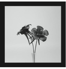 Jlin - Dark Lotus