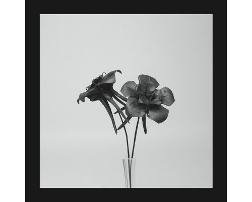 Jlin - Dark Lotus