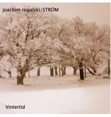 Joachim Rogalski - Vintertid