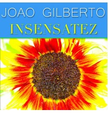 Joao Gilberto - Insensatez