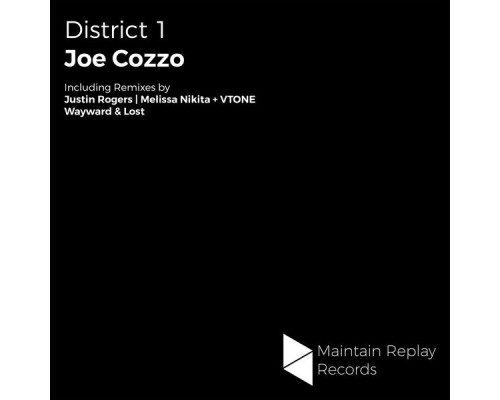 Joe Cozzo - District 1