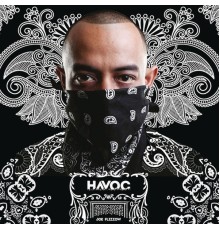 Joe Flizzow - Havoc