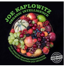 Joe Kaplowitz, Jazz Orkestar Hrvatske Radiotelevizije - Organic Intelligence