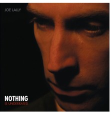 Joe Lally - Nothing is Underrated