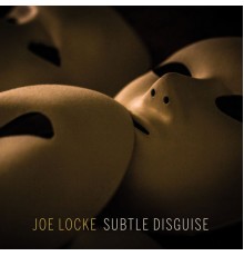 Joe Locke - Subtle Disguise