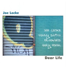 Joe Locke - Dear Life