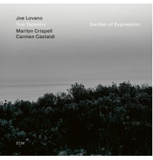 Joe Lovano Trio Tapestry feat. Marilyn Crispell & Carmen Castaldi - Garden of Expression