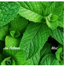 Joe Palmer - Mint