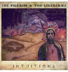 Joe Pilgrim, The Ligerians - Intuitions