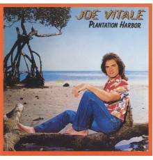 Joe Vitale - Plantation Harbor