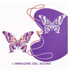 Joel Vandroogenbroeck - L'immagine del suono