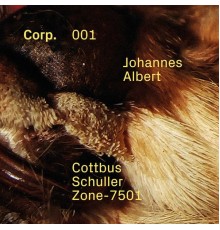 Johannes Albert - Cottbus (Original Mix)