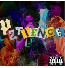 John D The Villin - Patience