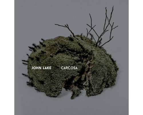 John Lake - Carcosa