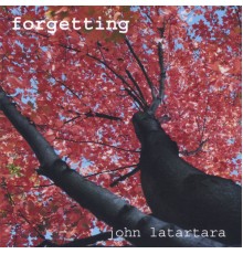 John Latartara - forgetting