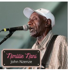 John Nzenze - Nimlilie Nani