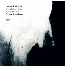 John Scofield - Swallow Tales