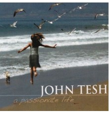 John Tesh - A Passionate Life