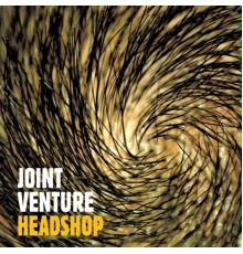 Joint Venture - Headshop