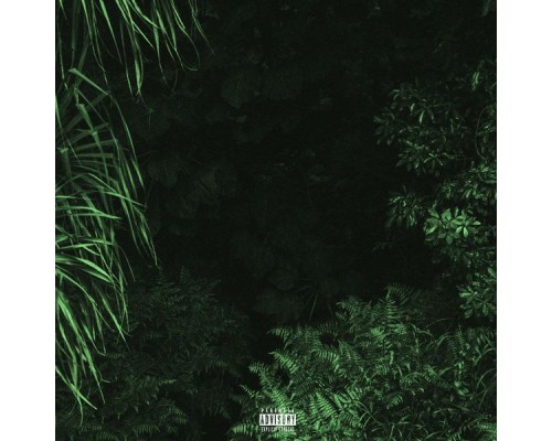 Joka - Forest Green