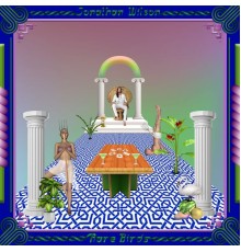 Jonathan Wilson - Rare Birds