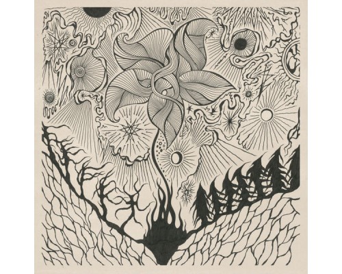Jordsjø - Nattfiolen Jordsjø - Nattfiolen