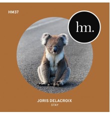 Joris Delacroix - Stay