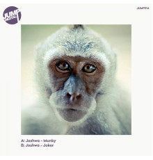 Joshwa (UK) - Munky (Original Mix)