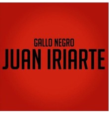 Juan Iriarte - Gallo Negro