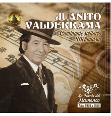 Juanito Valderrama - Caminante Solitario