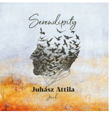 Juhász Attila Jack - Serendipity